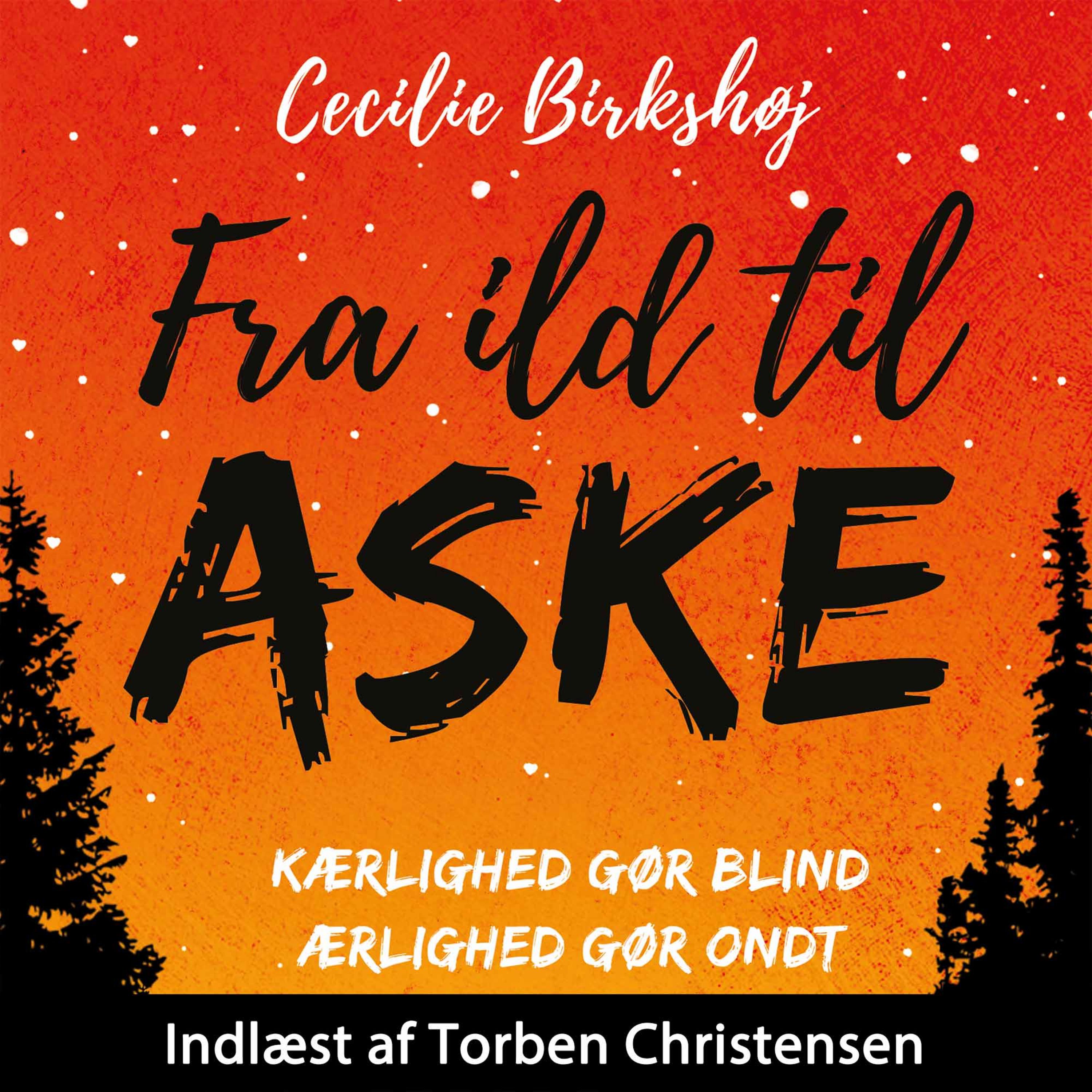 Forside billede